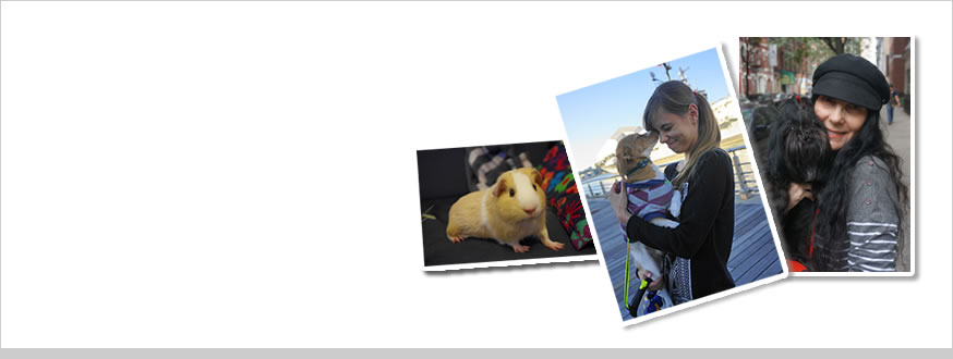 Pet Photos