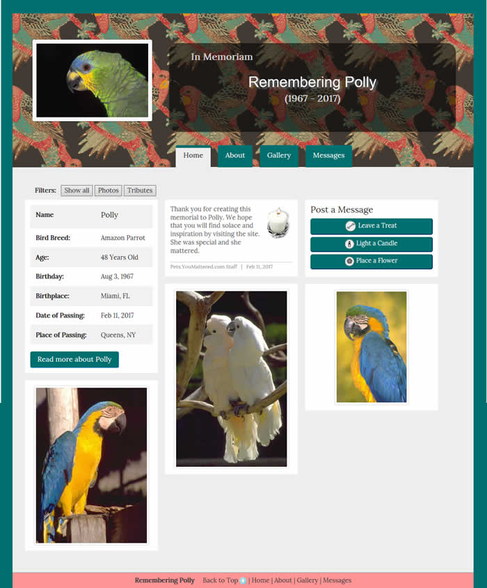 Bird Dance