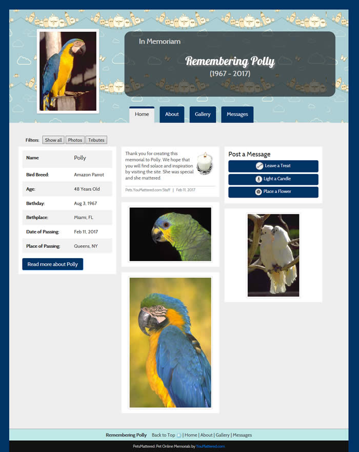Bird Sitting