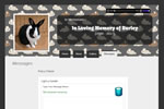 Cottontail