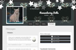 Star Cat