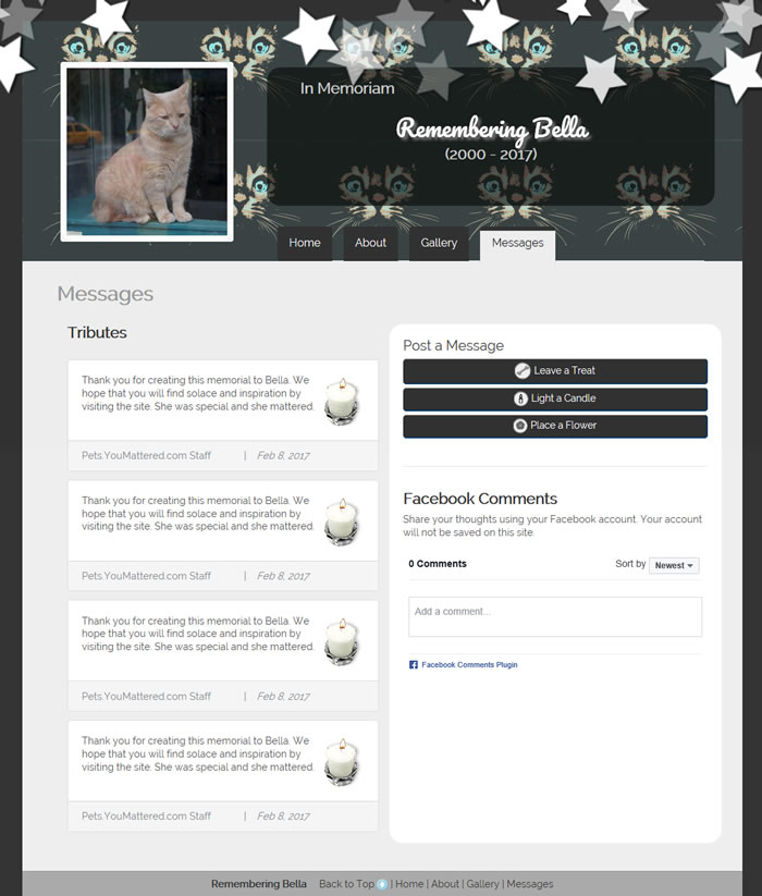 Star Cat